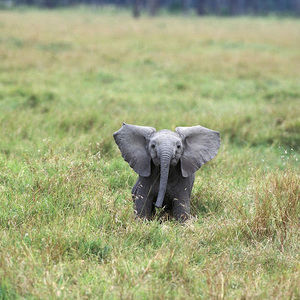 Meet your Posher, Jillian